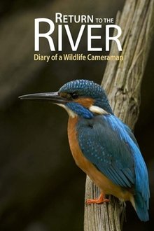 Return to the River movie poster