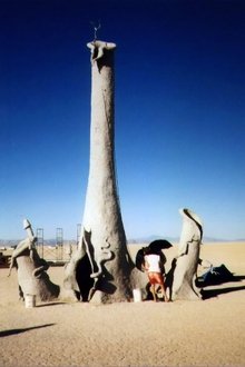 Burning Man movie poster