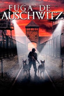 Poster do filme Fuga de Auschwitz