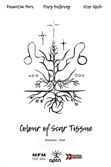Colour of Scar Tissue tv show poster
