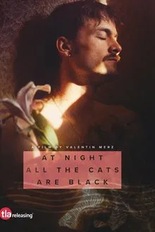At Night All the Cats Are Black movie poster