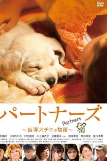 Poster do filme Partners