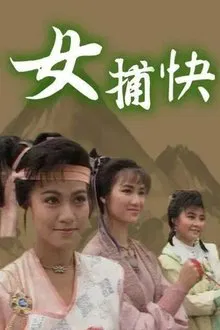 Ladies of the Law tv show poster
