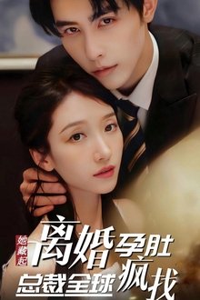 她藏起孕肚离婚，总裁全球疯找 tv show poster