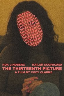 The 13th Picture movie poster