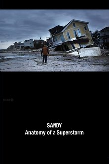Sandy: Anatomy of a Superstorm movie poster