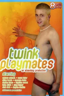 Twink Playmates movie poster