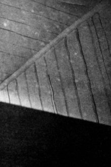 Light Shaft movie poster