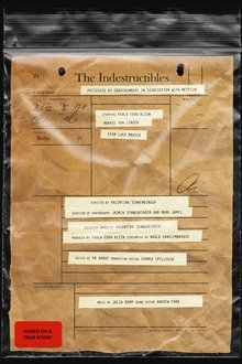 The Indestructibles movie poster