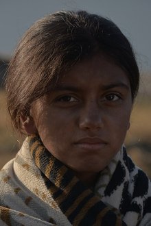 Dikshya Karki profile picture