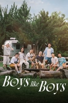 Boys Like Boys tv show poster