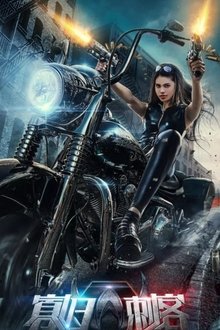 The Widows Assassin movie poster