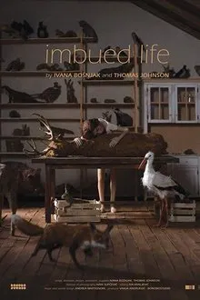 Imbued Life movie poster