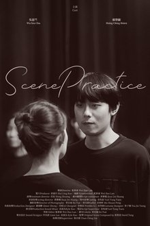 Scene Practice movie poster
