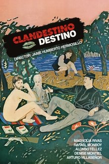 Clandestine Destiny movie poster