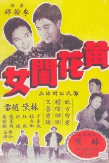 Lady in Distress movie poster