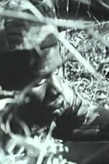 Anos de Guerra - Guiné 1963-1974 movie poster