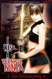 I Was A Teenage Ninja movie poster