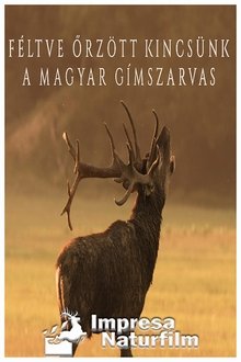 Poster do filme Féltve őrzött kincsünk, a magyar gímszarvas