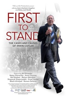 First to Stand: The Cases and Causes of Irwin Cotle movie poster