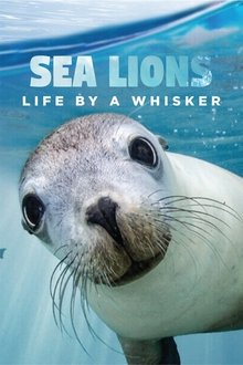 Sea Lions: Life By a Whisker movie poster