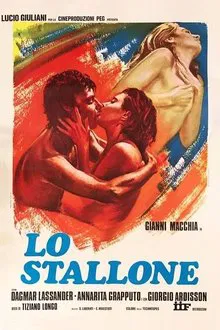 Lo stallone movie poster