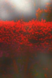 Burning Bush movie poster