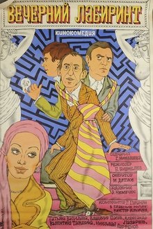 The Evening Labyrinth movie poster