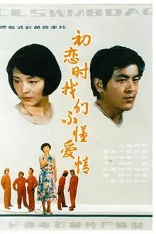 We Didn't Know Love During First Love movie poster