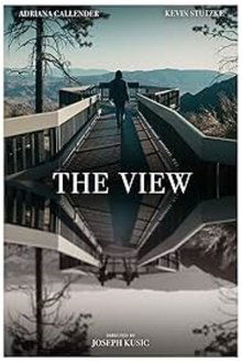 Poster do filme The View