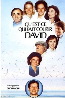 Qu'est-ce qui fait courir David ? movie poster
