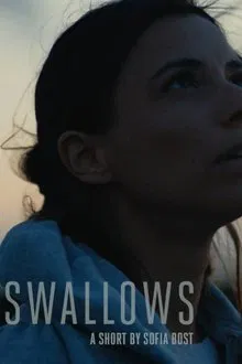 Swallows movie poster