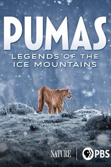 Pumas: Legends of the Ice Mountains tv show poster