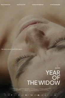 Year of the Widow movie poster
