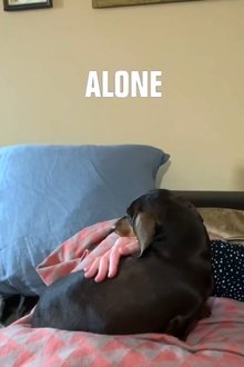 Alone movie poster