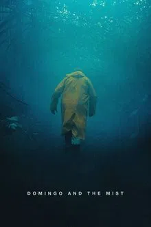Domingo and the Mist movie poster