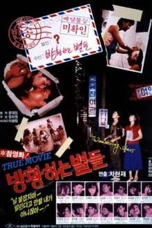 The Wandering Stars movie poster