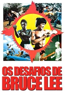 Poster do filme Os Desafios de Bruce Lee