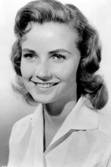 Sandra Knight profile picture