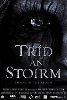 Through the Storm movie poster