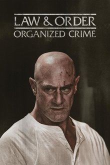 Law & Order: OC tv show poster