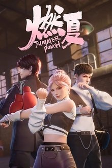 Summer Punch tv show poster