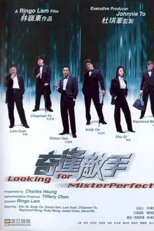 Looking for Mr. Perfect movie poster