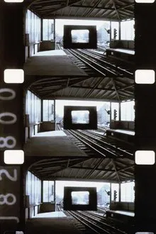 Diminished Frame movie poster