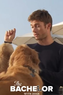 Poster do filme The Bachelor with Dogs and Scott Eastwood