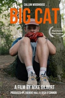 Big Cat movie poster