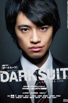 Dark Suit tv show poster