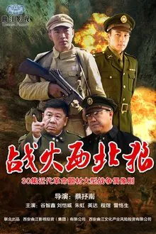 战火西北狼 tv show poster