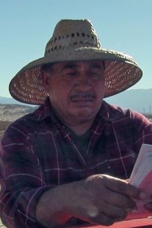 Juan Atayde profile picture