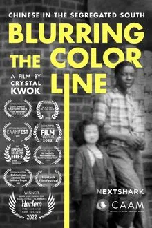 Blurring the Color Line: Chinese in the Segregated South movie poster